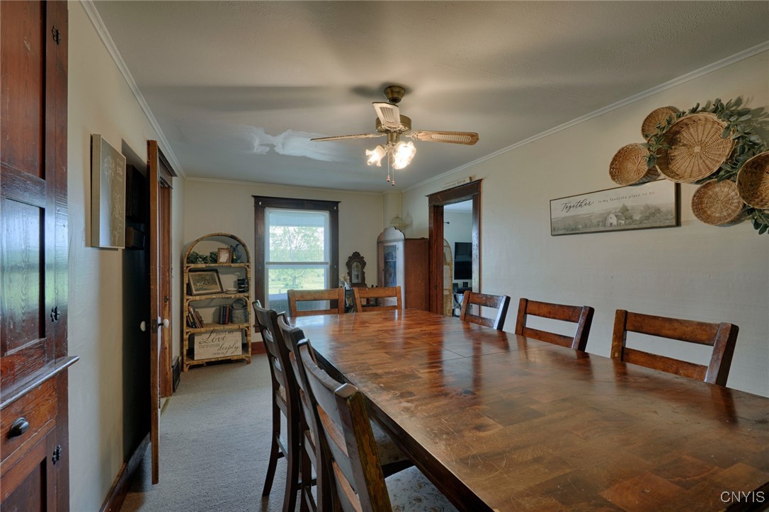 17705 County Route 11, Clayton, New York image 17