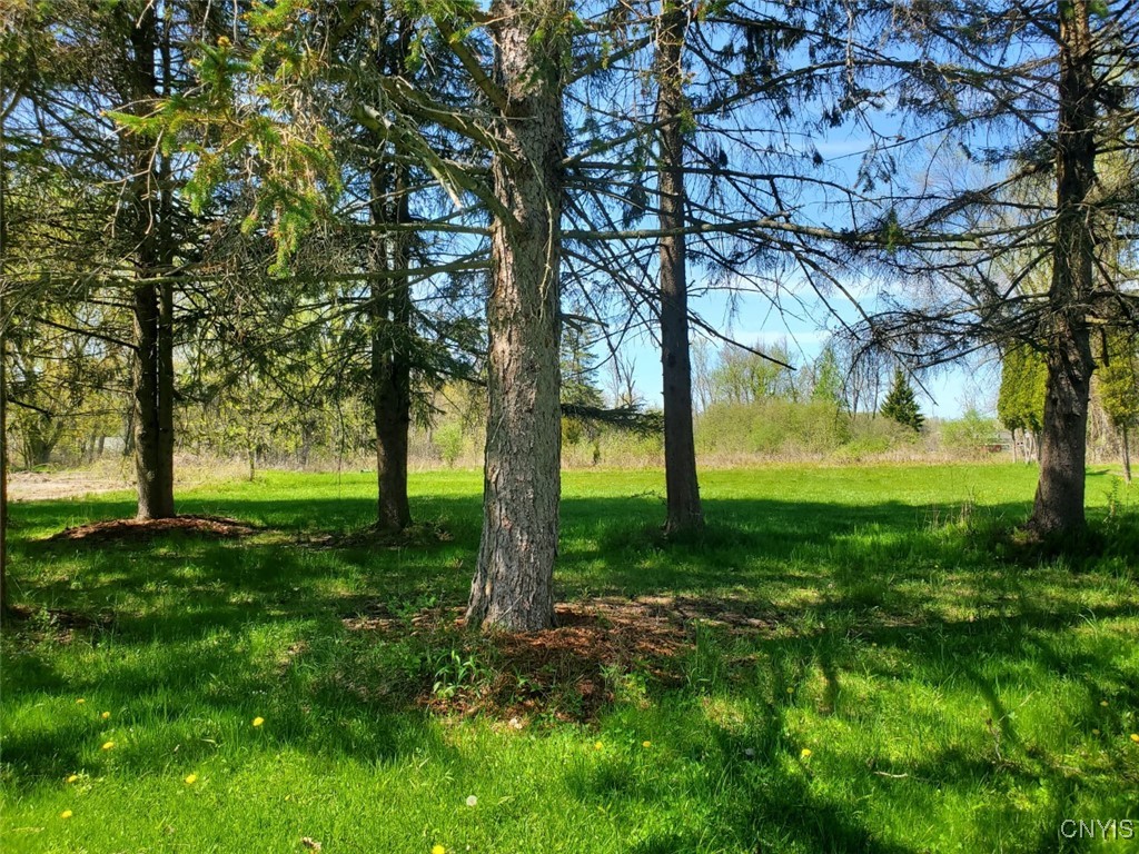0000 Jefferson Pk Rd (crows Crossing) Drive, Ellisburg, New York image 8