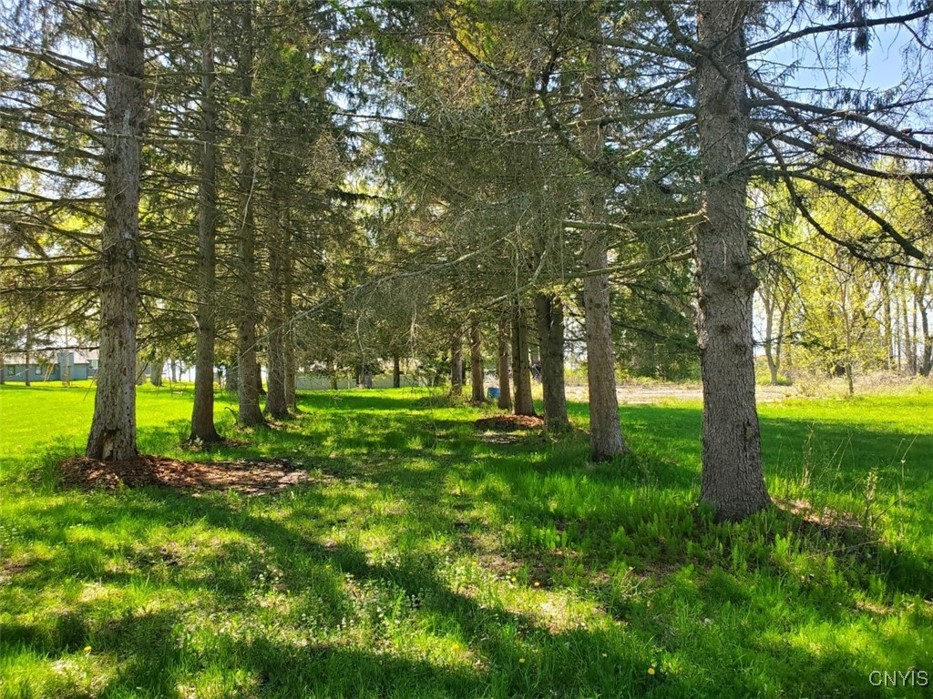 0000 Jefferson Pk Rd (crows Crossing) Drive, Ellisburg, New York image 4