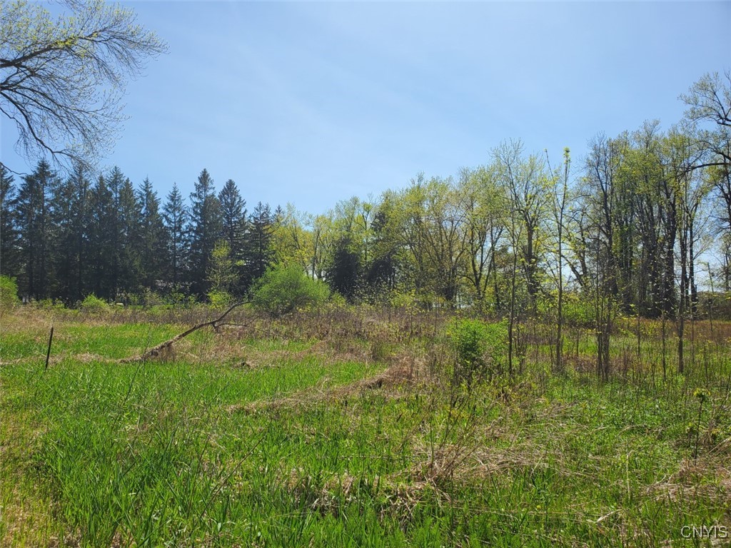 0000 Jefferson Pk Rd (crows Crossing) Drive, Ellisburg, New York image 6
