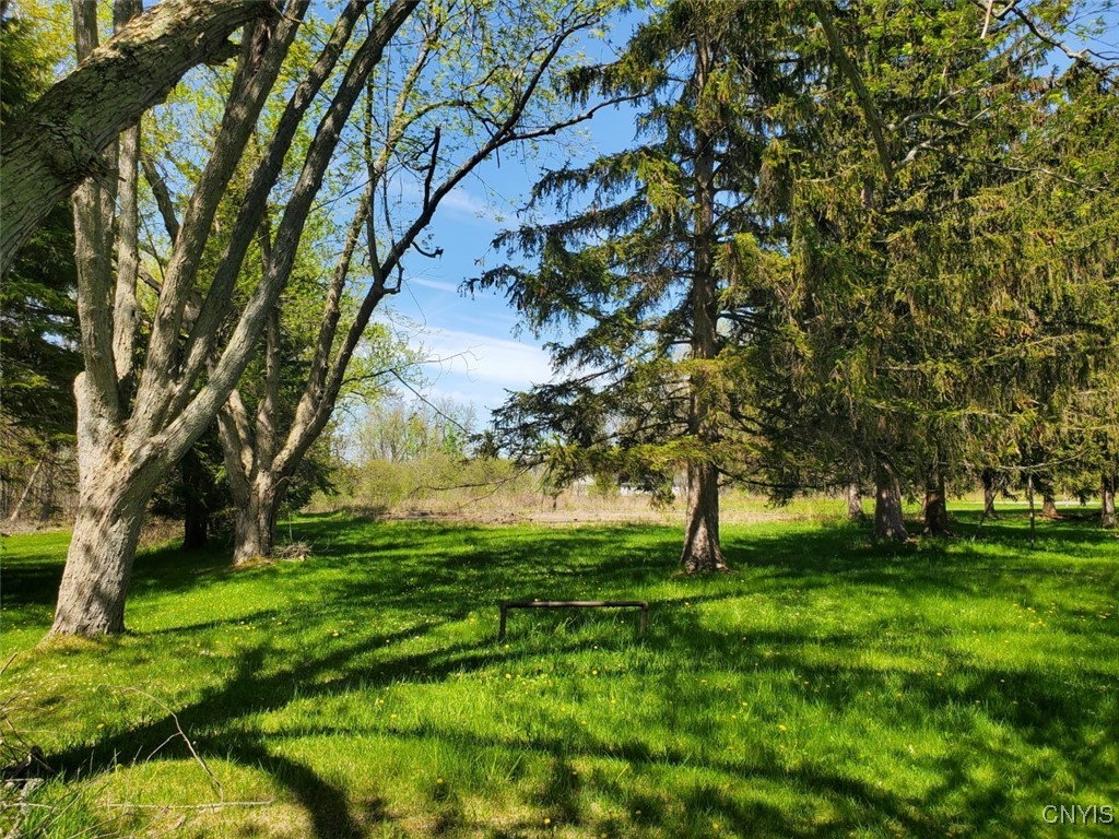 0000 Jefferson Pk Rd (crows Crossing) Drive, Ellisburg, New York image 7