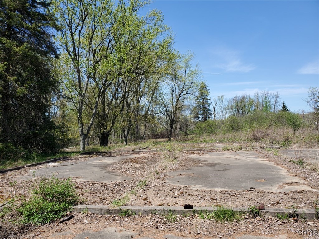 0000 Jefferson Pk Rd (crows Crossing) Drive, Ellisburg, New York image 2