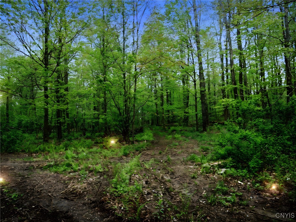 Doyle Road, Brookfield, New York image 4