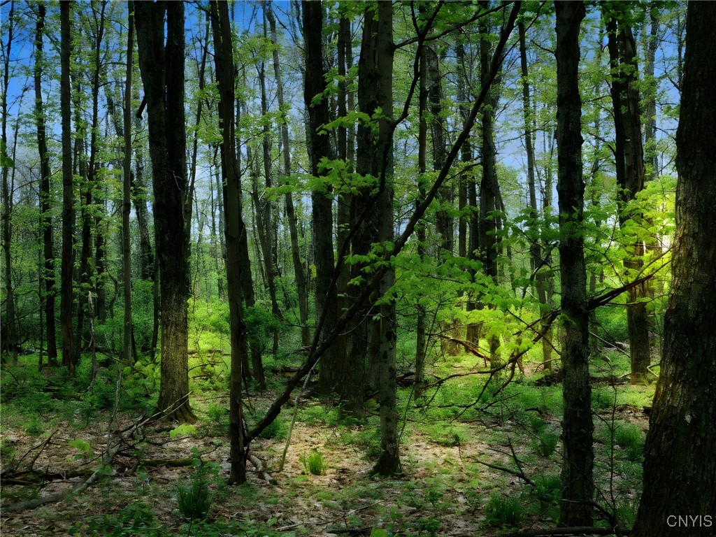 Doyle Road, Brookfield, New York image 3