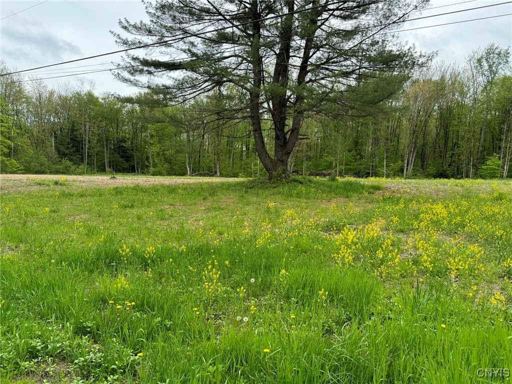 67 Jacobson Drive, Parish, New York image 3