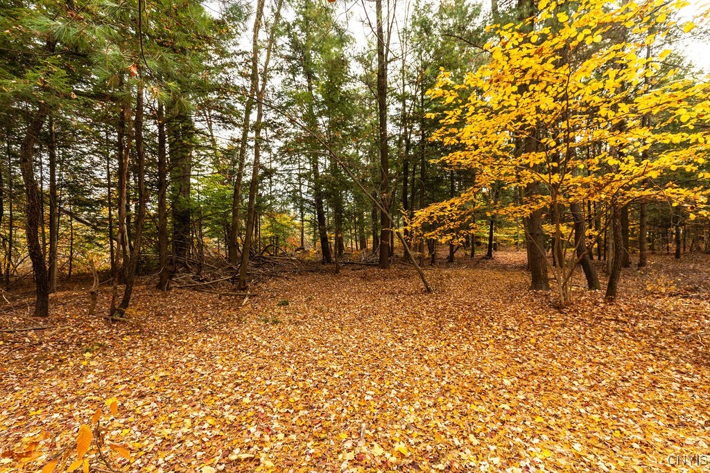 67 Jacobson Drive, Parish, New York image 14