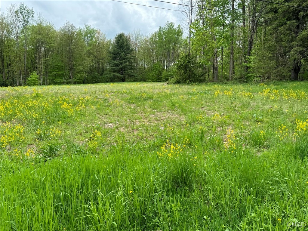 67 Jacobson Drive, Parish, New York image 1