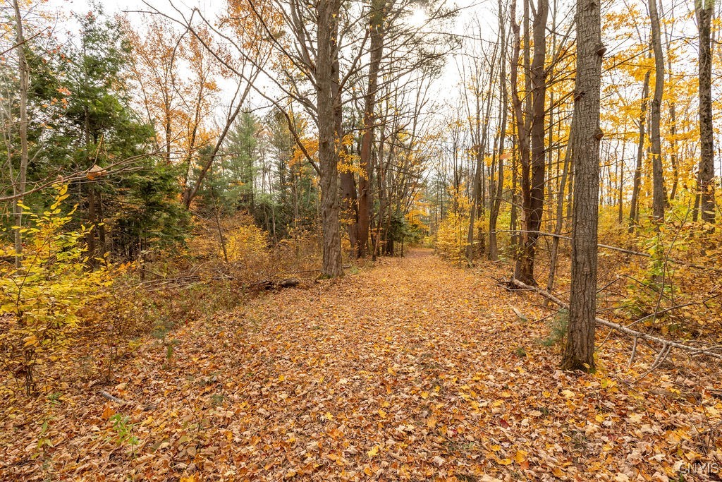 67 Jacobson Drive, Parish, New York image 15