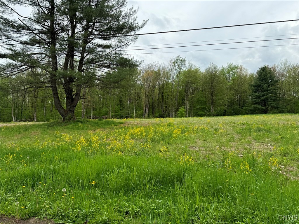 67 Jacobson Drive, Parish, New York image 2