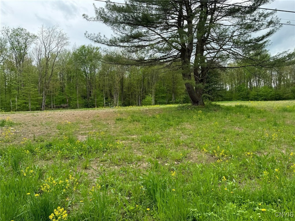 67 Jacobson Drive, Parish, New York image 4