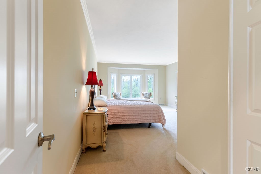 122 Edwards Falls Lane, Manlius, New York image 24