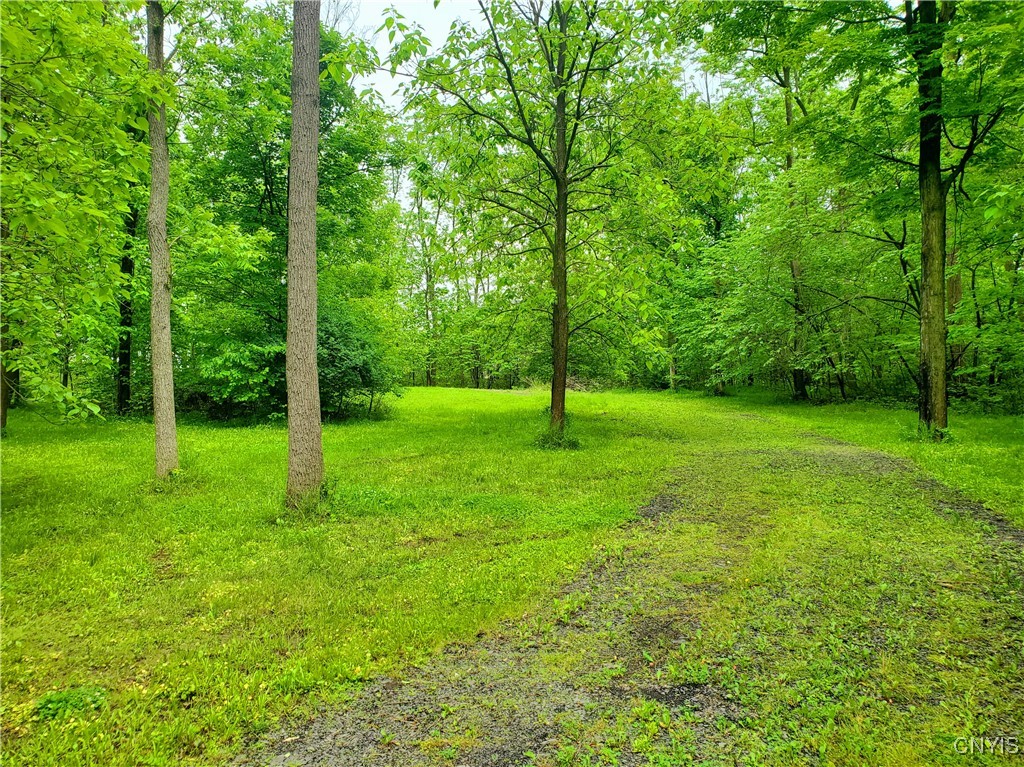 Chase Avenue