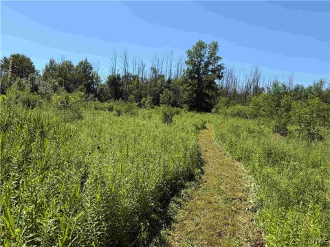 Vacant Land For Sale - Buttermilk Road<br/> Cattaraugus County, Villenova, NY 14138