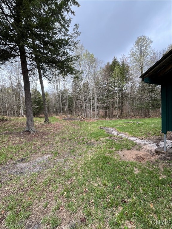 Off Cr 58, Parksville, New York image 4