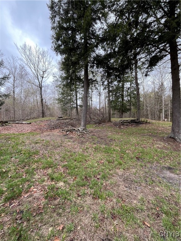 Off Cr 58, Parksville, New York image 5