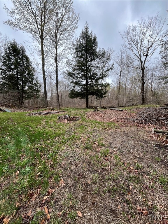 Off Cr 58, Parksville, New York image 6