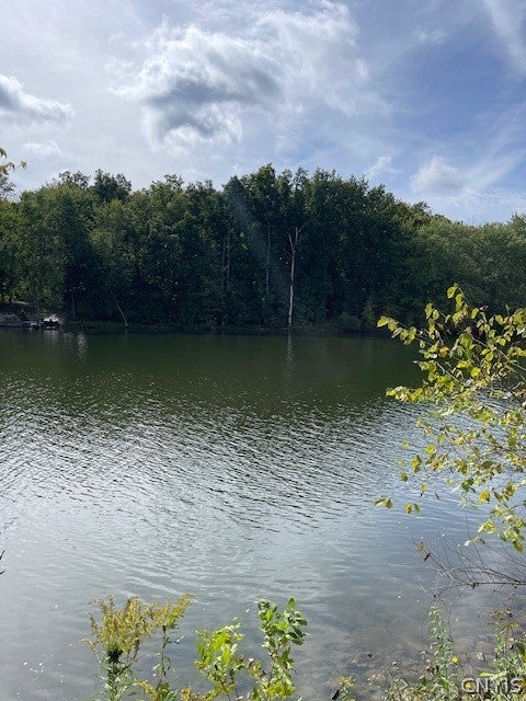 205 Oswego River Road