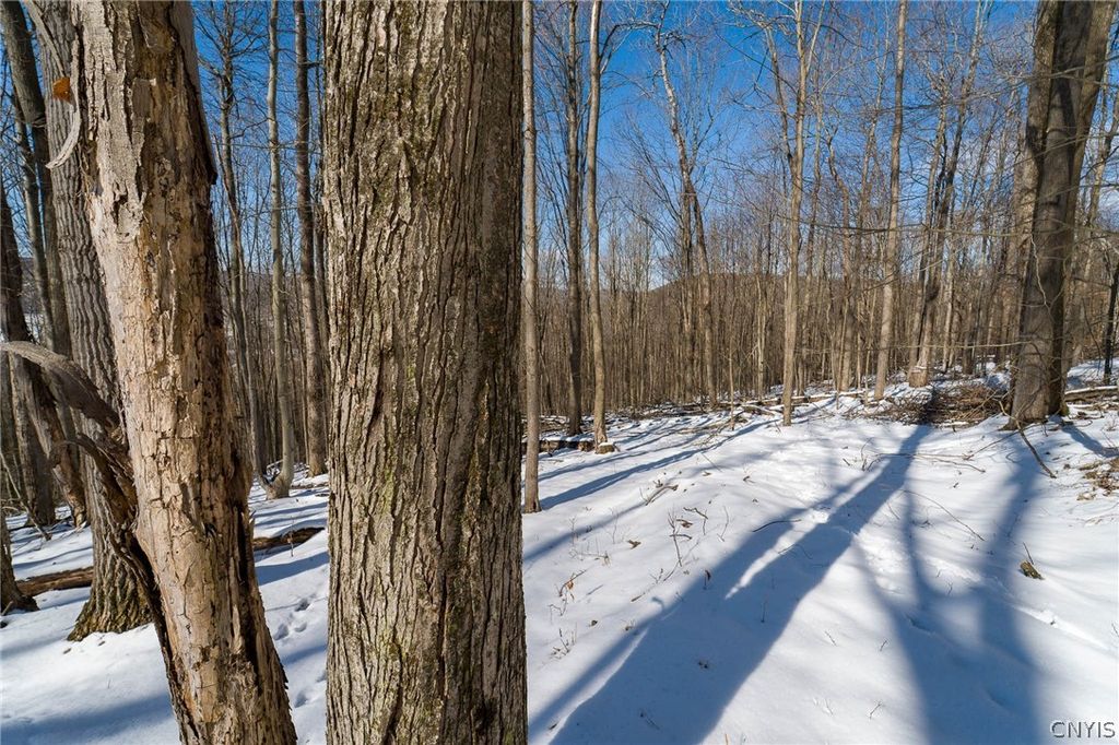 Photo of Nys Route 414, Catlin, NY 14902 (MLS # S1666689)