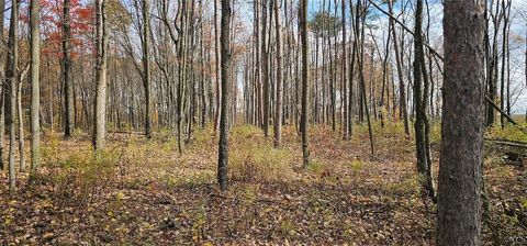 Vacant Land For Sale - 417 Stocks Road<br/> Owego, NY 13827