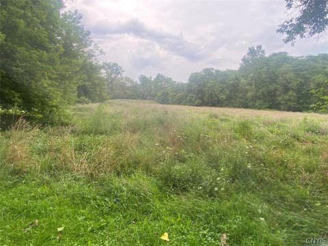 Tiny photo for 7574 Main Street, Almond, NY 14804 (MLS # S1709014)