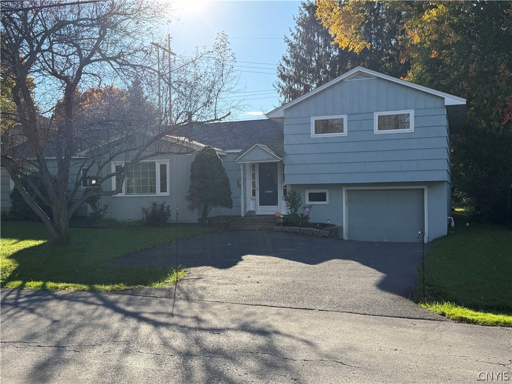 23 Tamarack Drive