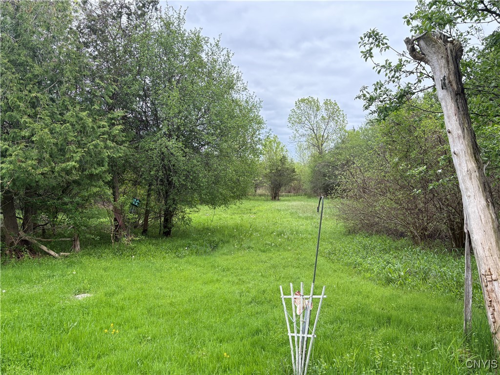 10508 Grandjean Road, Henderson, New York image 12