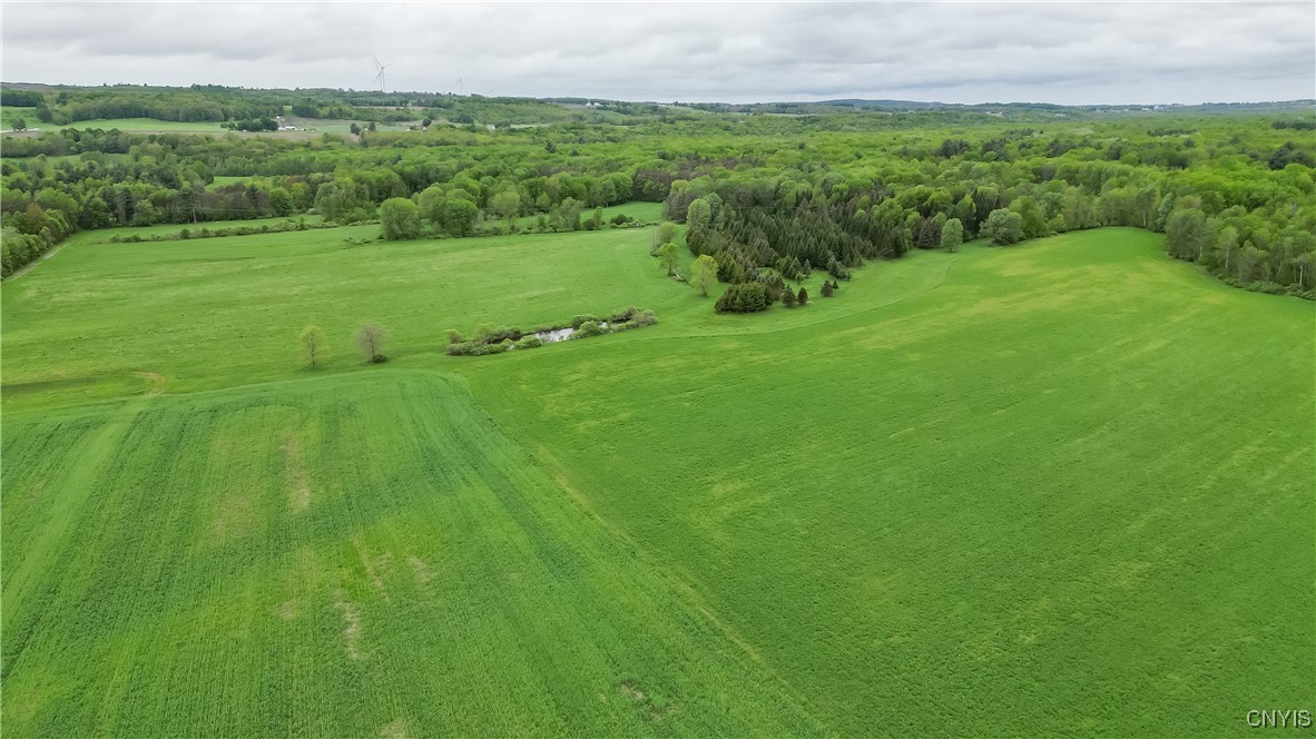7709 Ridge Road, Lowville, New York image 4