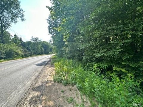 Vacant Land For Sale - 00 Brantingham Road<br/> Greig, NY 13345