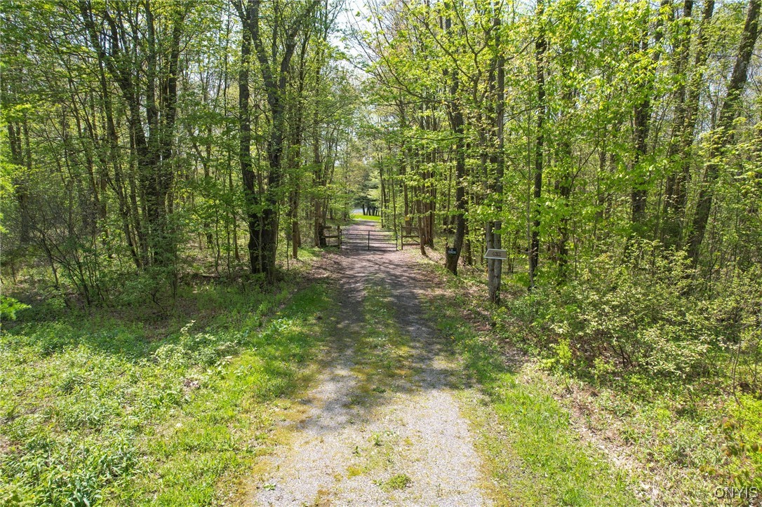 432 Beecherville Road, Orwell, New York image 4