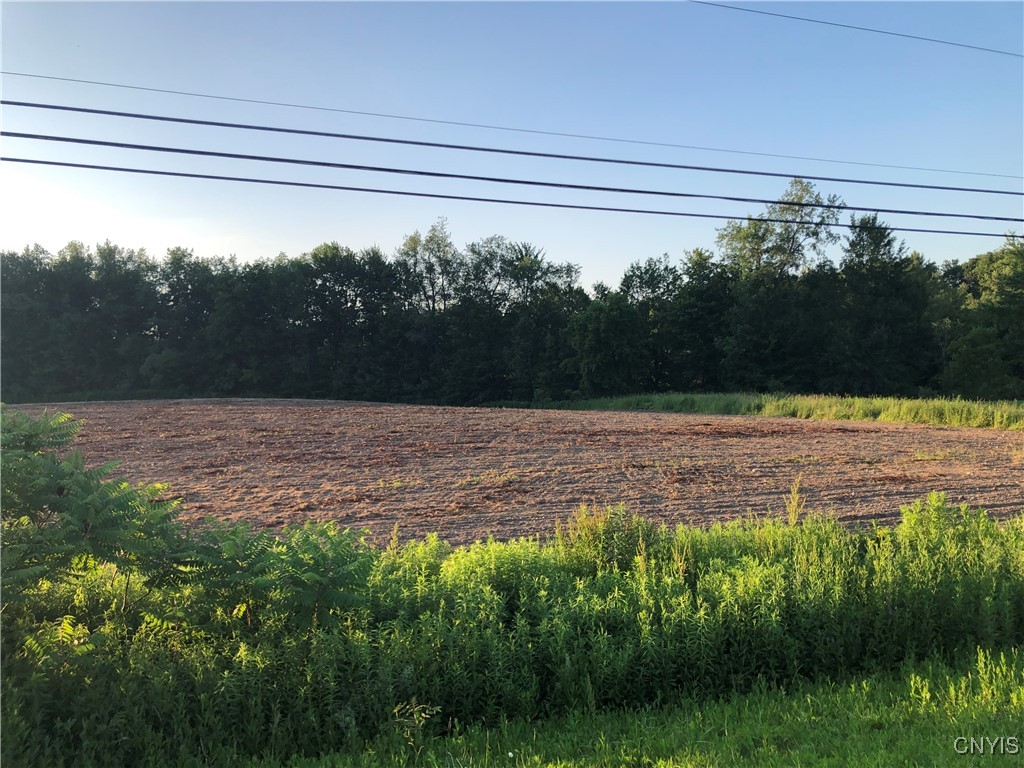 Koeing Rd Rt-365 Road