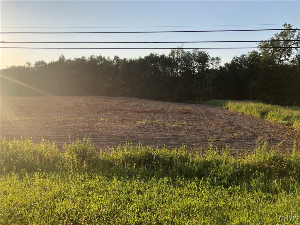 Koeing Rd Rt-365 Road