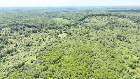 Vacant Land For Sale - S Albion<br/> Albion, NY 13062