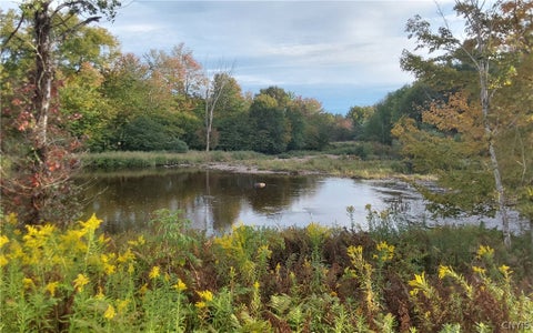 Tiny photo for 3935 State Route 8, Ohio, NY 13324 (MLS # S1710921)
