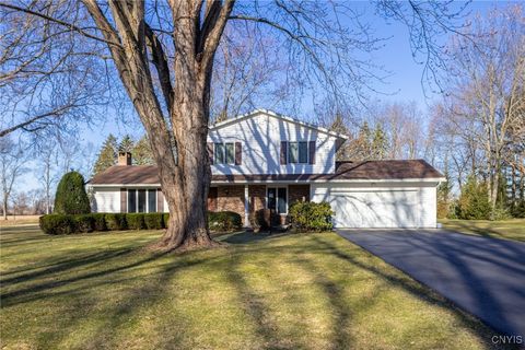 12 Maplegrove Drive Churchville NY 14428