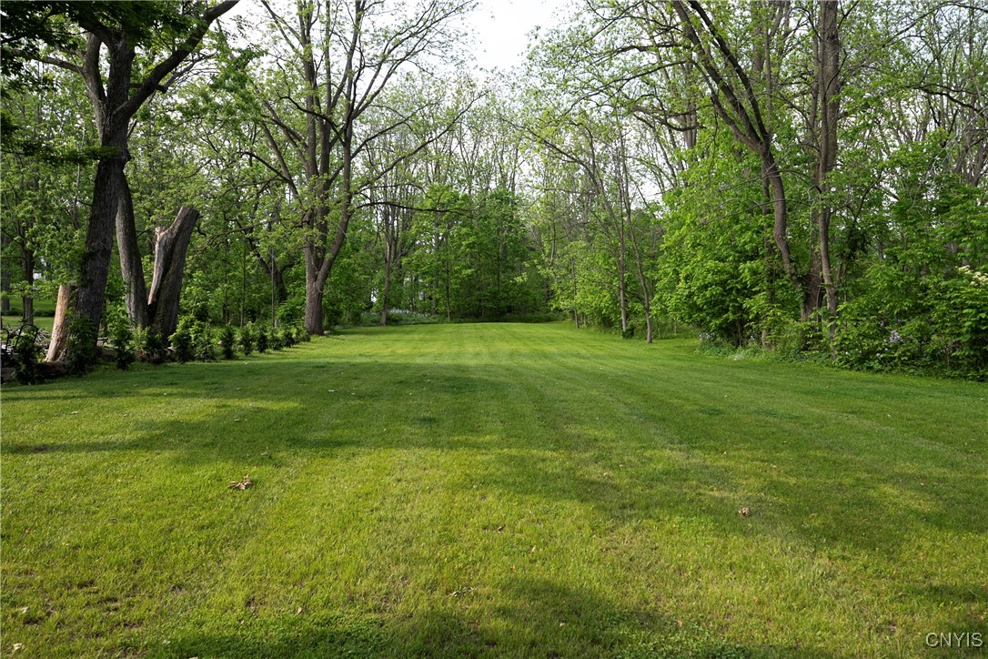 149 E Genesee Street, Skaneateles, New York image 5