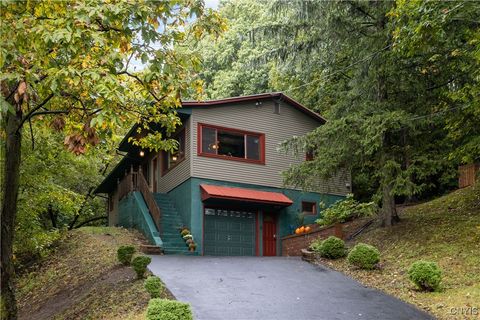 Photo for 3242 Pioneer Road