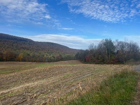 0 Otisco Valley Road Preble NY 13141