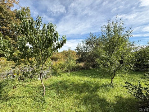 Tiny photo for 660 Lake Como Road, Summerhill, NY 13045 (MLS # S1713704)