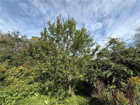 Tiny photo for 660 Lake Como Road, Summerhill, NY 13045 (MLS # S1713704)
