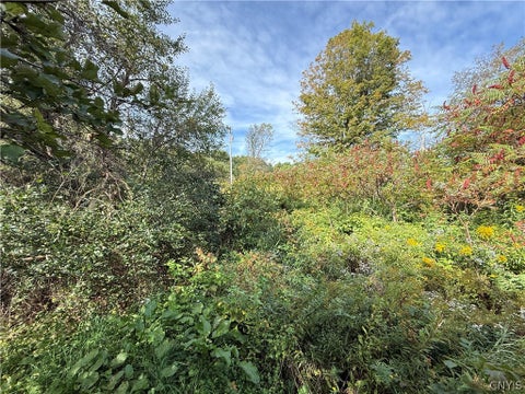 Tiny photo for 660 Lake Como Road, Summerhill, NY 13045 (MLS # S1713704)