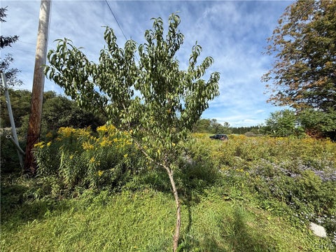 Tiny photo for 660 Lake Como Road, Summerhill, NY 13045 (MLS # S1713704)