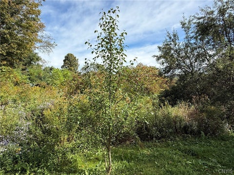 Tiny photo for 660 Lake Como Road, Summerhill, NY 13045 (MLS # S1713704)