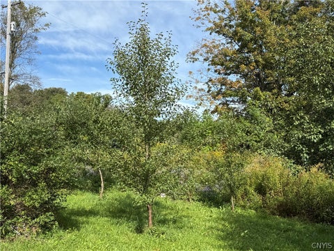 Tiny photo for 660 Lake Como Road, Summerhill, NY 13045 (MLS # S1713704)