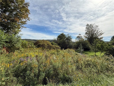 Tiny photo for 660 Lake Como Road, Summerhill, NY 13045 (MLS # S1713704)