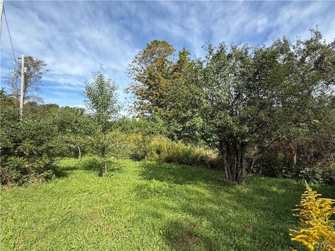 Tiny photo for 660 Lake Como Road, Summerhill, NY 13045 (MLS # S1713704)