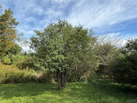 Tiny photo for 660 Lake Como Road, Summerhill, NY 13045 (MLS # S1713704)