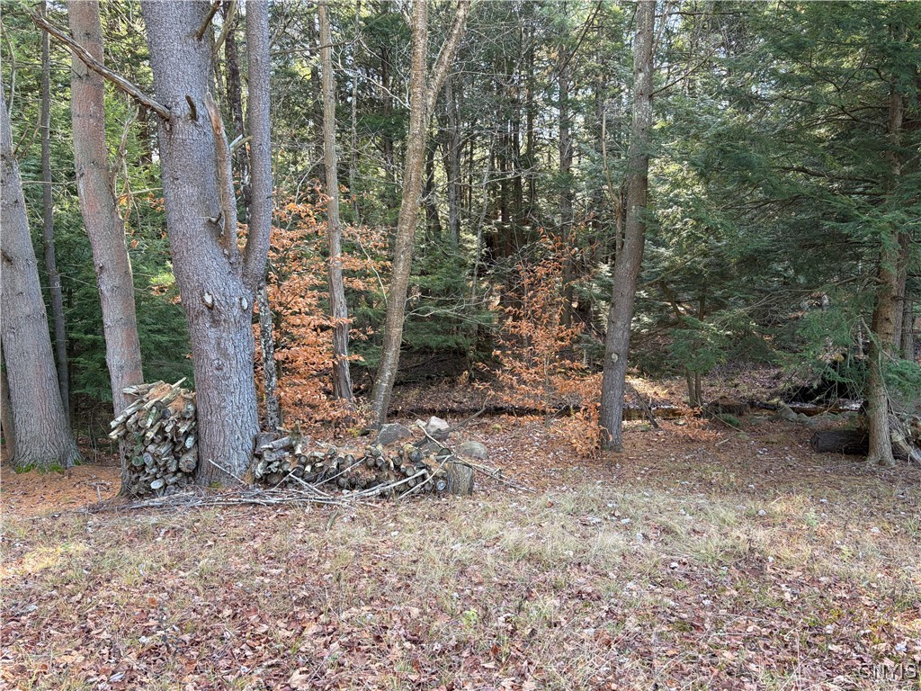 482 County Route 11