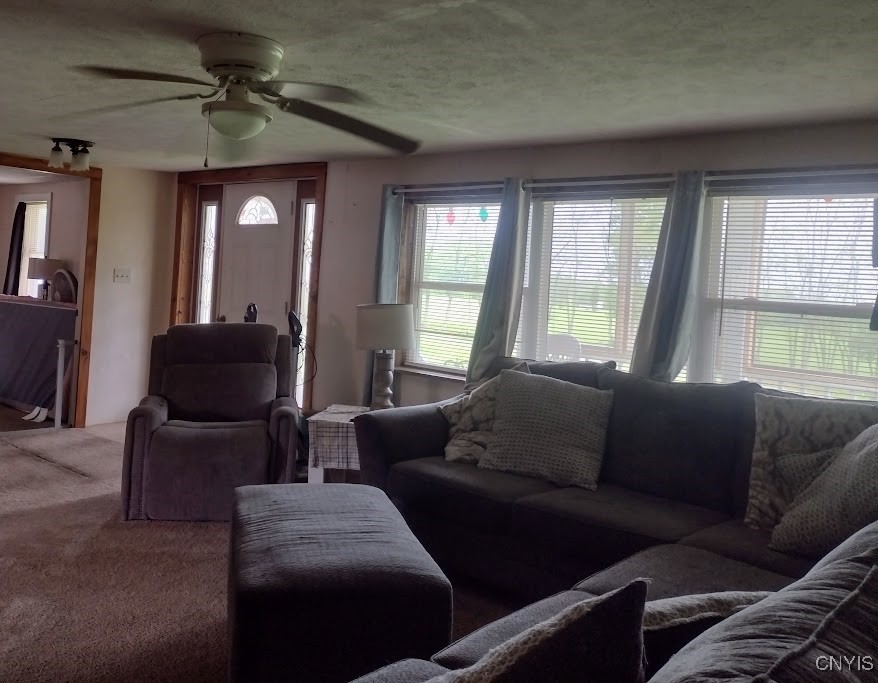 183 Gulf Hill Road, Dryden, New York image 12