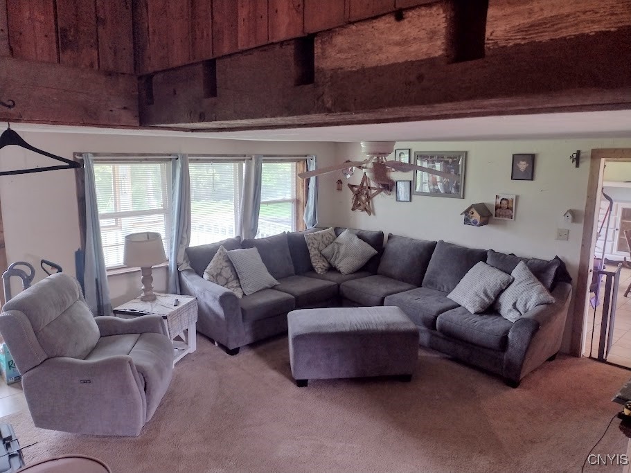 183 Gulf Hill Road, Dryden, New York image 11