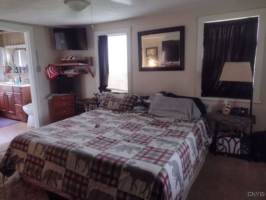 183 Gulf Hill Road, Dryden, New York image 16